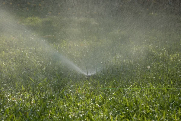 Bewässerungssystem Für Den Garten Sprüht Den Rasen — Stockfoto