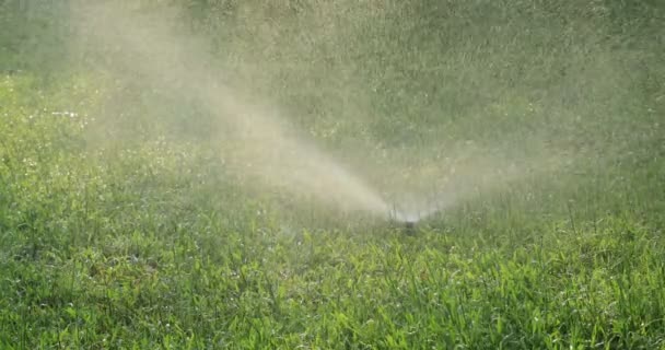 Automatic Sprinklers Watering Green Grass — Stock Video