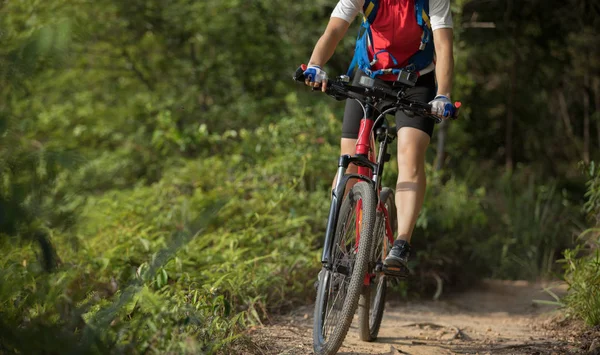 夏季森林小径上的山地自行车骑自行车 — 图库照片