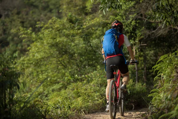 Mountain Bike Kerékpározás Nyári Erdei Ösvényen — Stock Fotó