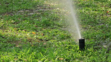Otomatik Sprinkler yeşil çim sulama