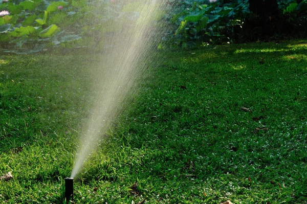 Garden Irrigation System Spray Watering Lawn — Stock Photo, Image