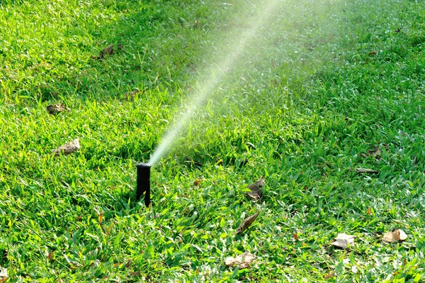 园林灌溉系统喷雾浇水草坪 — 图库照片