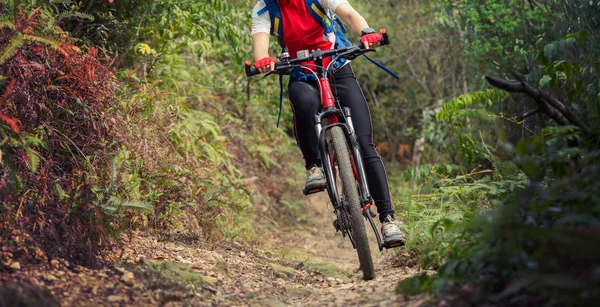Female cyclist riding mountain bike on outdoor trail in forest