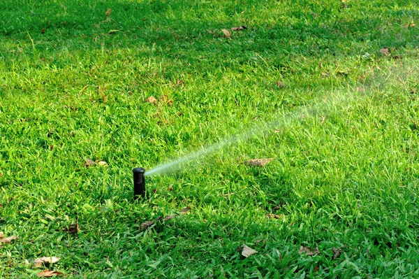 Garden Irrigation System Spray Watering Lawn — Stock Photo, Image