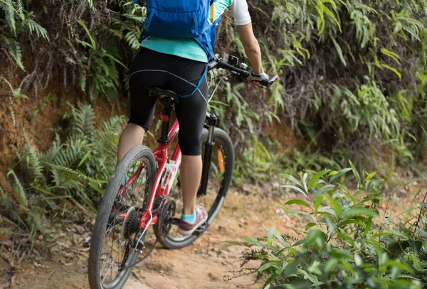 骑自行车的人在森林里骑自行车 — 图库照片