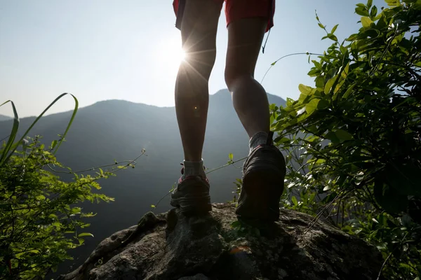 Exitosa Mujer Excursionista Pie Montaña Pico Acantilado Borde — Foto de Stock