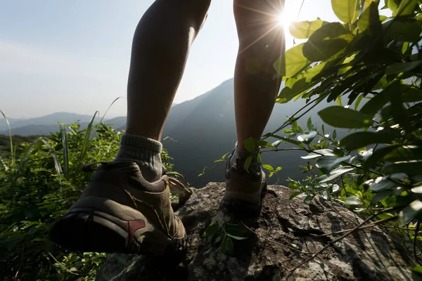Succesvolle Wandelaar Wandelen Zomer Zonsopgang Bergtop — Stockfoto