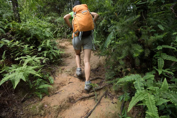 妇女徒步旅行与背包在森林小径 — 图库照片