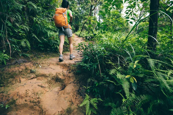 Caminhadas Mulher Com Mochila Trilha Florestal — Fotografia de Stock