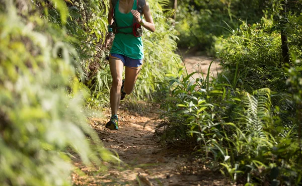 Sabah Ormanda Çalışan Kadın Runner — Stok fotoğraf