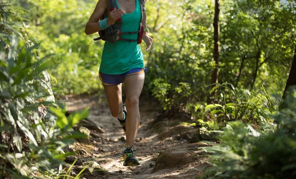 Futás-on erdei ösvényen nő — Stock Fotó