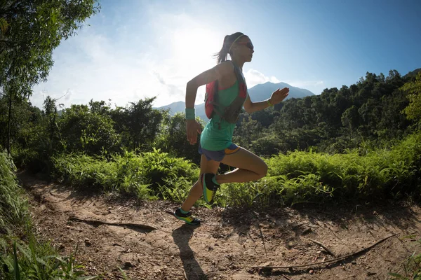 Mulher Determinada Corredor Trilha Correndo Floresta Matutina — Fotografia de Stock