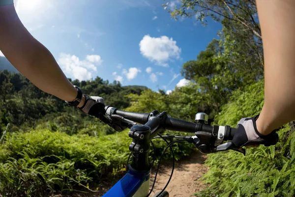 Cykla Toppen Backen Skogen Solig Dag — Stockfoto