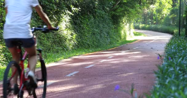 Frau Radelt Mit Ausgestreckten Armen Auf Sonnigem Parkweg — Stockvideo