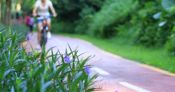 Πράσινο Γρασίδι Πάρκο Θολή Γυναίκα Ιππασία Ποδήλατο Βουνού Φόντο — Αρχείο Βίντεο