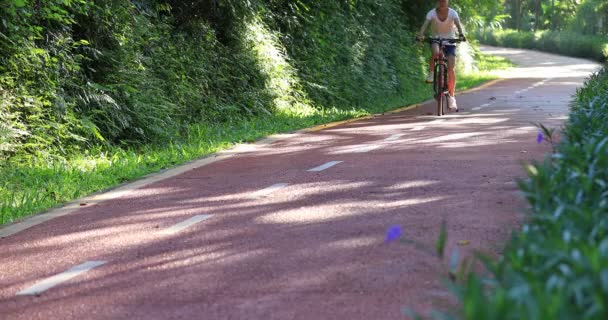 骑自行车的妇女在阳光明媚的公园小径上伸出双臂 — 图库视频影像