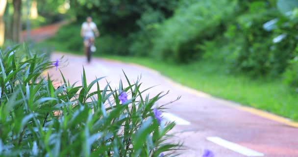 Grünes Gras Park Mit Verschwommener Frau Auf Mountainbike Hintergrund — Stockvideo