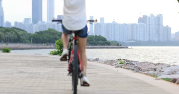 Junge Frau Mit Ausgestreckten Armen Auf Dem Fahrrad Sonnigen Meer — Stockvideo