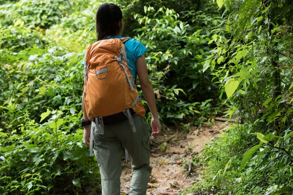 Рюкзак Жінка Ходить Стежці Тропічних Лісах — стокове фото