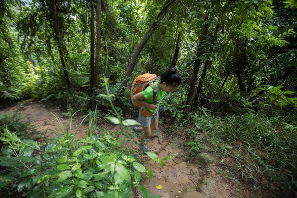 yağmur ormanlarında izinde hiking backpacking kadın