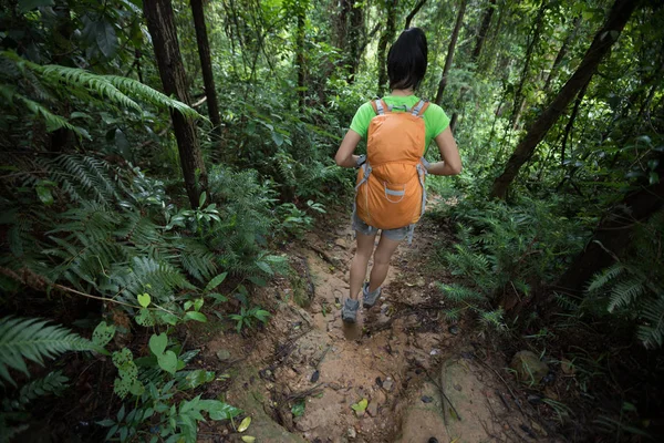 徒步旅行的背包妇女在雨林的足迹 — 图库照片