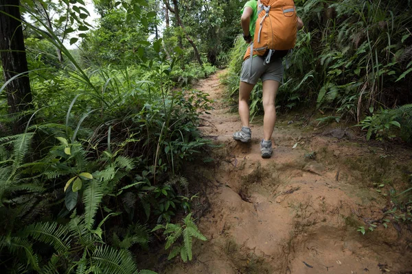 徒步旅行的背包妇女在雨林的足迹 — 图库照片