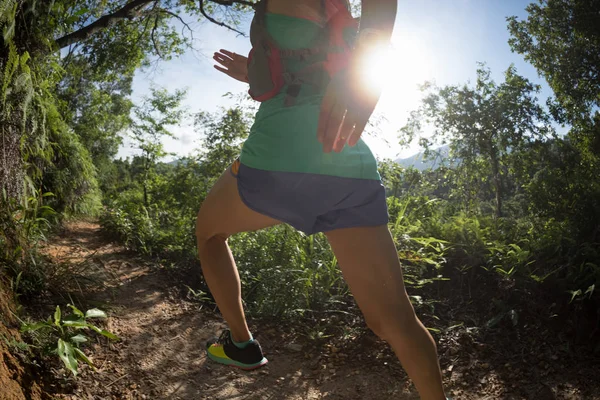 Fit Femme Trail Runner Courir Dans Forêt Matin — Photo