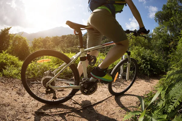 阳光明媚的日子 在森林的山顶上骑自行车 — 图库照片
