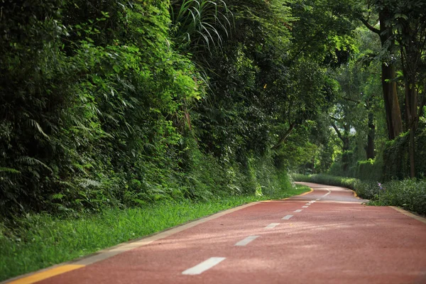 Bela Trilha Vazia Para Correr Parque — Fotografia de Stock