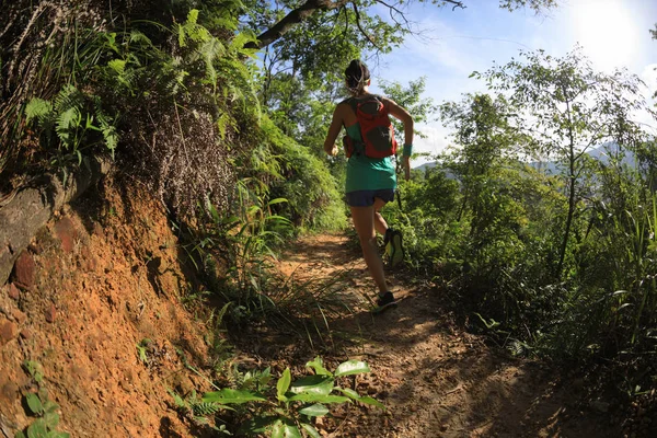 Bestämd Kvinna Trail Löpare Kör Morgon Skog — Stockfoto