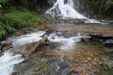 Şelale tropikal yağmur ormanları dağlarda havadan görünümü