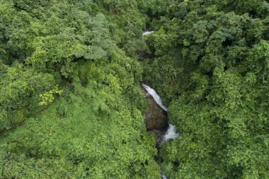Şelale tropikal yağmur ormanları dağlarda havadan görünümü
