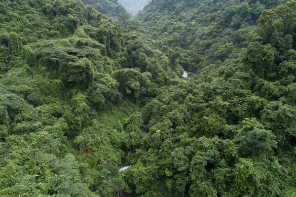 Vue Aérienne Cascade Dans Les Montagnes Forêt Tropicale — Photo