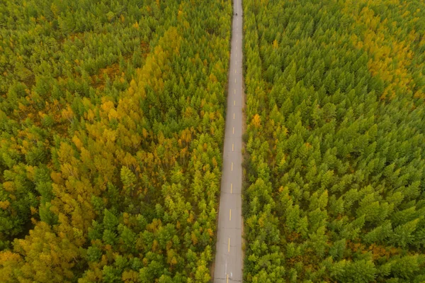 Widok Lotu Ptaka Kolorowa Jesień Las Krajobraz — Zdjęcie stockowe