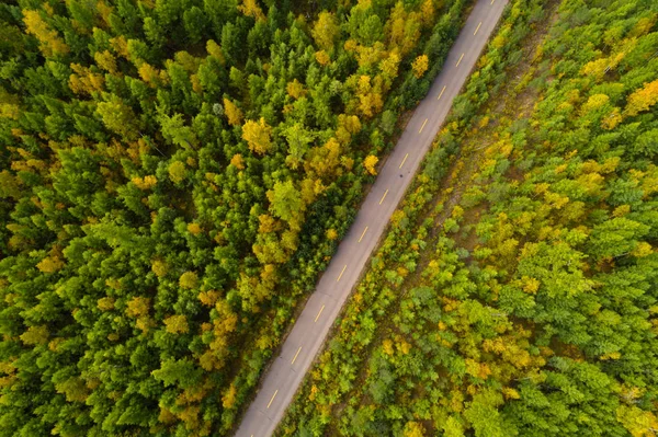 Flygfoto Över Färgglada Hösten Skogslandskapet — Stockfoto