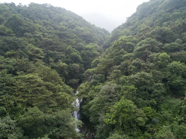 Widok Wodospad Górach Tropical Rainforest — Zdjęcie stockowe