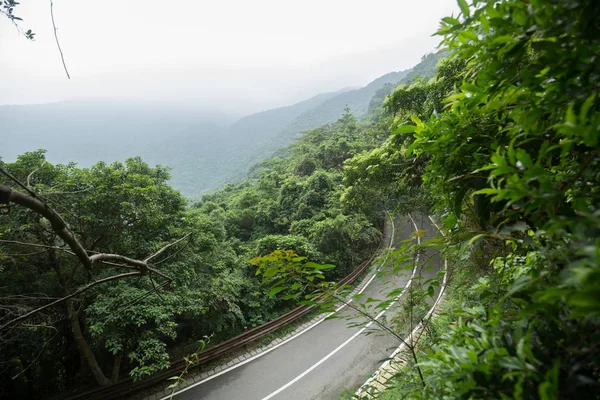 Sentiero Vuoto Nella Foresta Verde Tropicale — Foto Stock