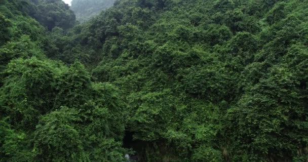 Schöne Berglandschaft Mit Grünen Wäldern Bedeckt — Stockvideo