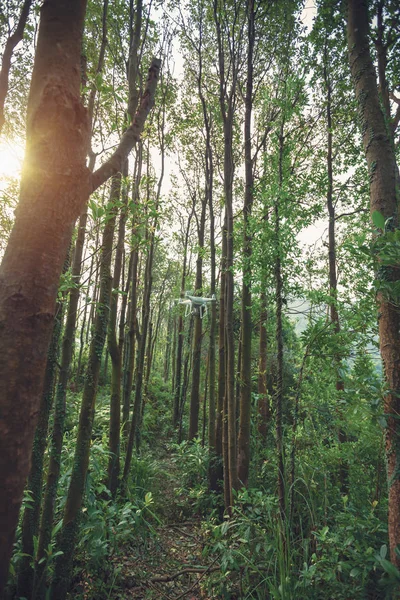 Drone Blanco Con Cámara Volando Bosque Tropical — Foto de Stock