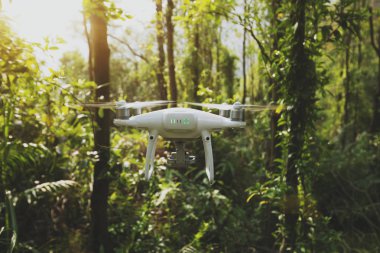 Beyaz dron tropikal ormanda uçan kamera ile