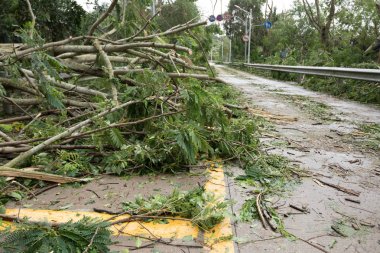 süper tayfun Çin'Mangkhut sonra hasar