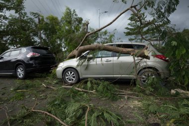 Kırık ağaç Park araba üstüne düştü, sonra süper tayfun Mangkhut Çin araba hasarlı 