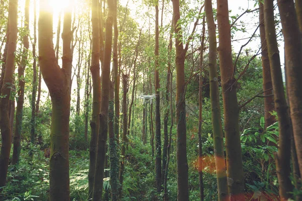 Drone Branco Com Câmera Voando Floresta Tropical — Fotografia de Stock