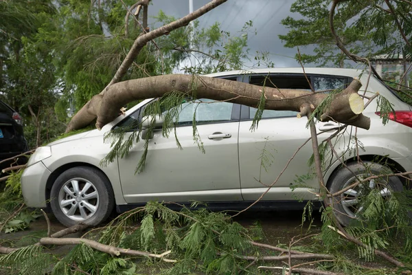 Árbol Roto Caído Parte Superior Del Coche Estacionamiento Coche Dañado — Foto de Stock