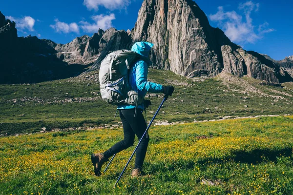 Young Woman Backpack Walking High Altitude Flowering Meadow — Stock Photo, Image