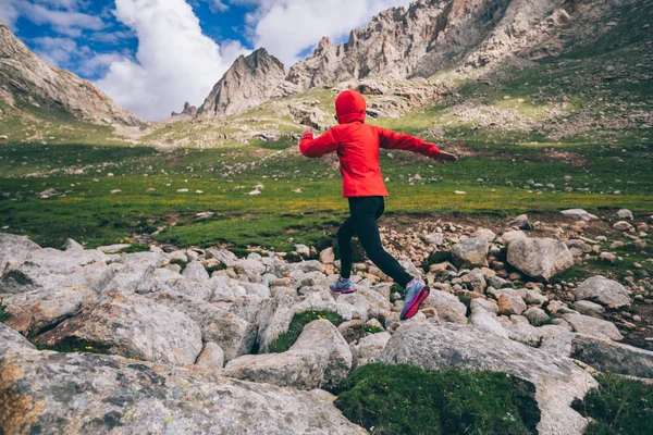 Vrouw Trail Runner Uitgevoerd Prachtige Bergen — Stockfoto