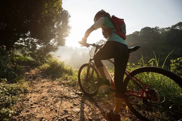 Ung Kvinna Cyklist Ridning Mountainbike Sommaren Skogsstig — Stockfoto