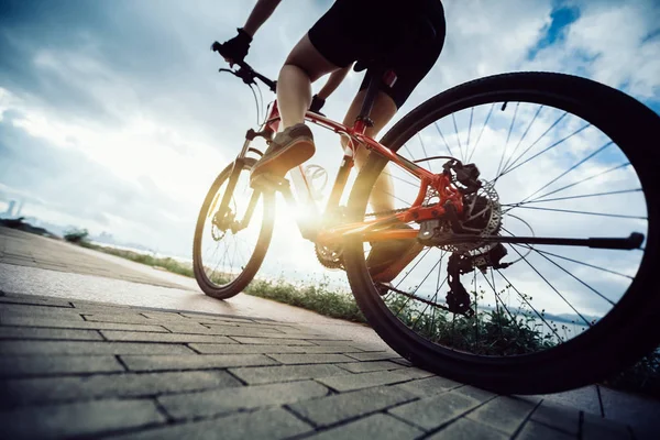 Mujer Ciclista Montando Mountain Bike Salida Del Sol Junto Mar —  Fotos de Stock