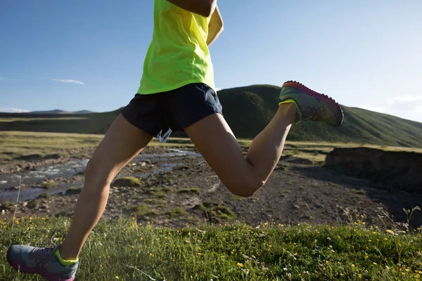 Jonge Fitness Vrouw Trail Runner Uitgevoerd Grasland — Stockfoto